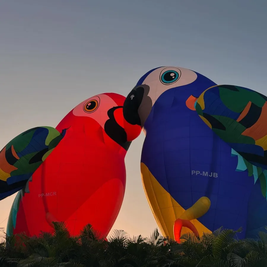 Dois balões em formato de arara, vermelho e azul, encostando os bicos ao entardecer